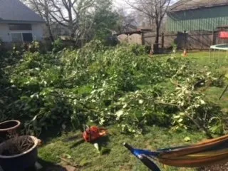 Trusted yard cleanup service in Lake Oswego, OR - Emanuels Lawn Maintenance