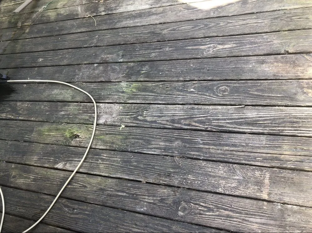 Local landscape installation in Harrells, NC by Embark Property Solutions