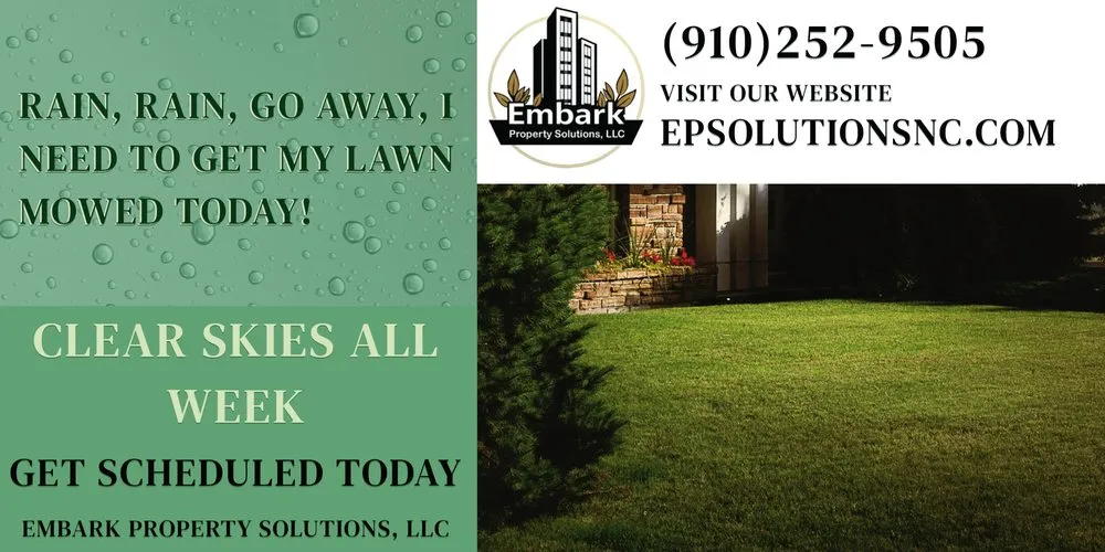 Professional yard maintenance experts serving Harrells, NC - Embark Property Solutions