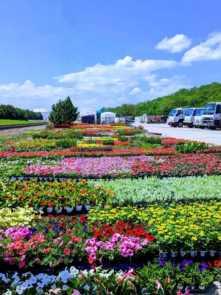 Trusted yard maintenance in Riverside, MO - Embassy Landscape Group