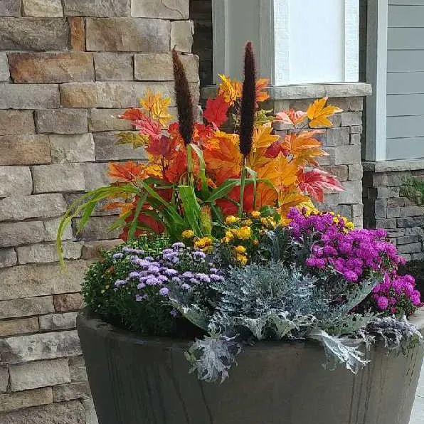 Custom landscaping services experts serving Riverside, MO - Embassy Landscape Group