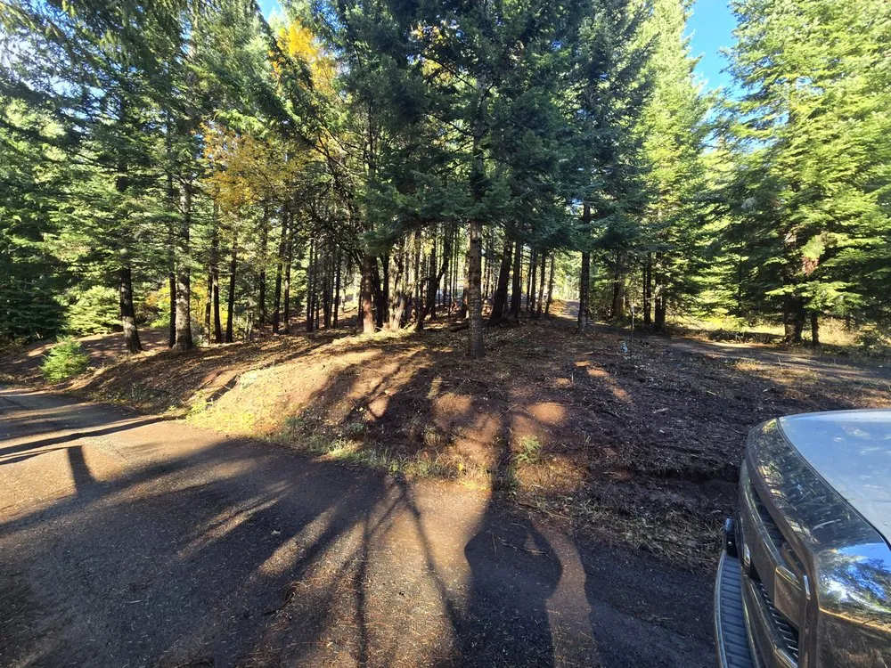 Expert yard cleanup service for beautiful yards in Kalama, WA by Ember Timber