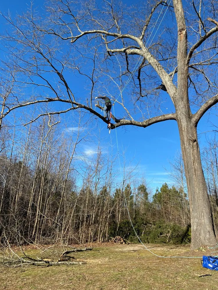 Affordable yard cleanup service in Spotsylvania Courthouse, VA - Ember's Lawn and Yard Services