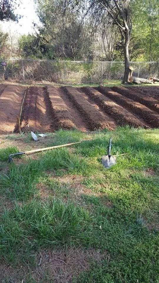 Expert landscape installation experts serving Spotsylvania Courthouse, VA - Ember's Lawn and Yard Services