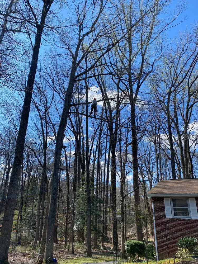 Custom lawn care service in Spotsylvania Courthouse, VA by Ember's Lawn and Yard Services