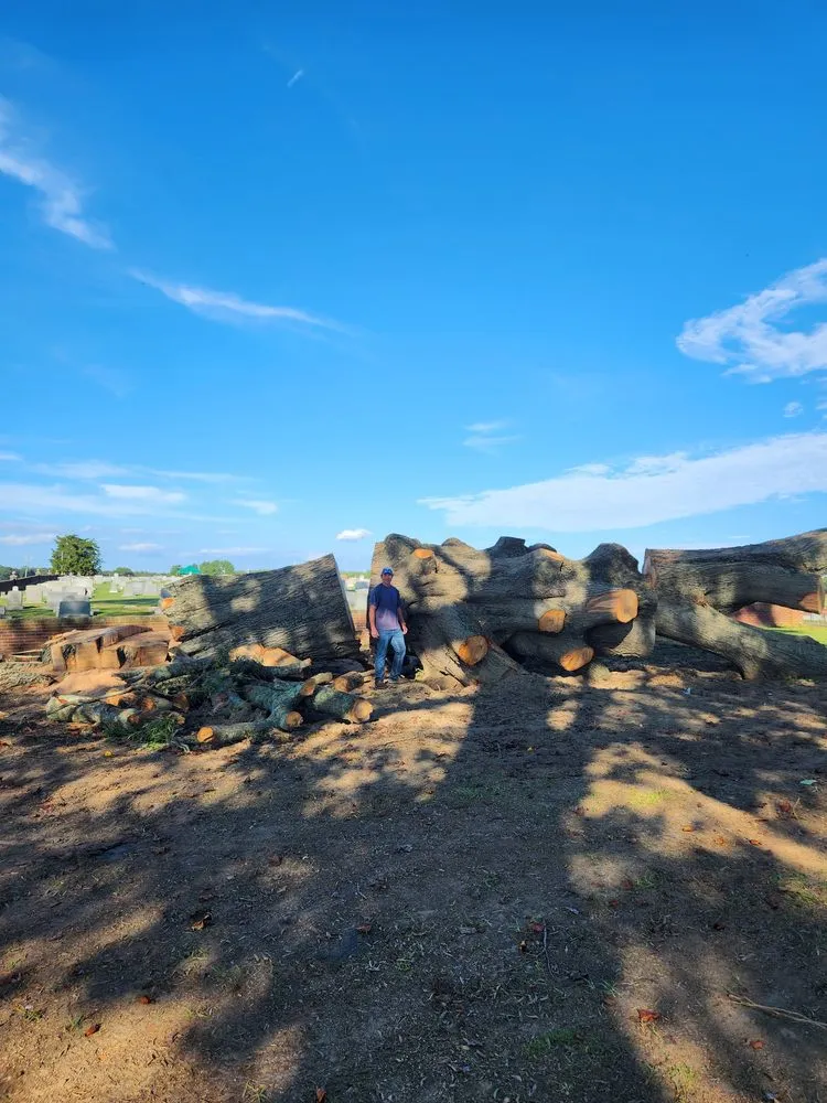 Professional residential landscaping in Spotsylvania Courthouse, VA by Ember's Lawn and Yard Services