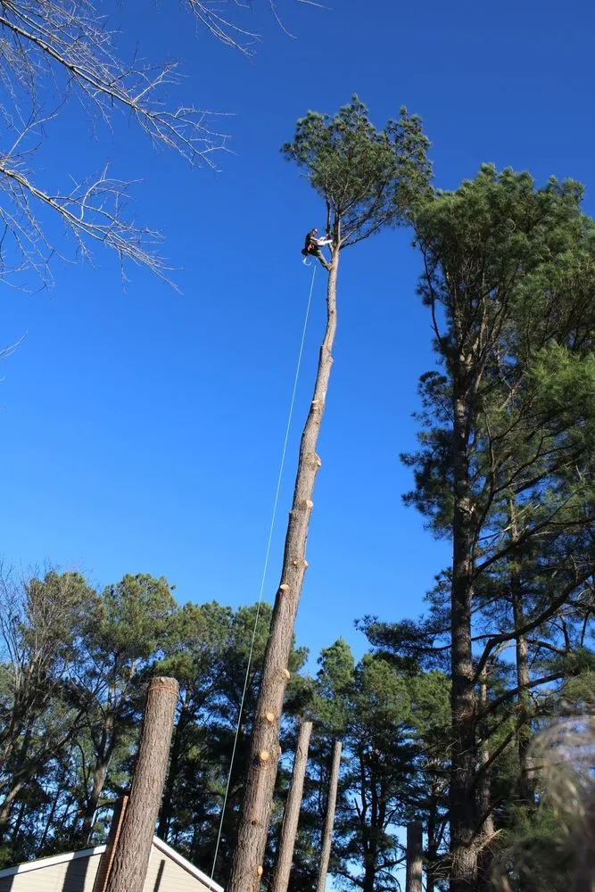 Top-rated lawn mowing service in Spotsylvania Courthouse, VA by Ember's Lawn and Yard Services