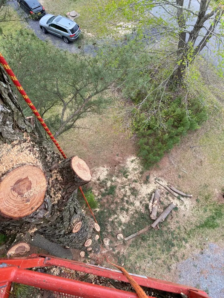 Reliable yard cleanup service in Spotsylvania Courthouse, VA by Ember's Lawn and Yard Services