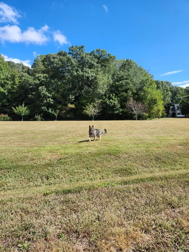Expert garden landscaping near you in Spotsylvania Courthouse, VA by Ember's Lawn and Yard Services