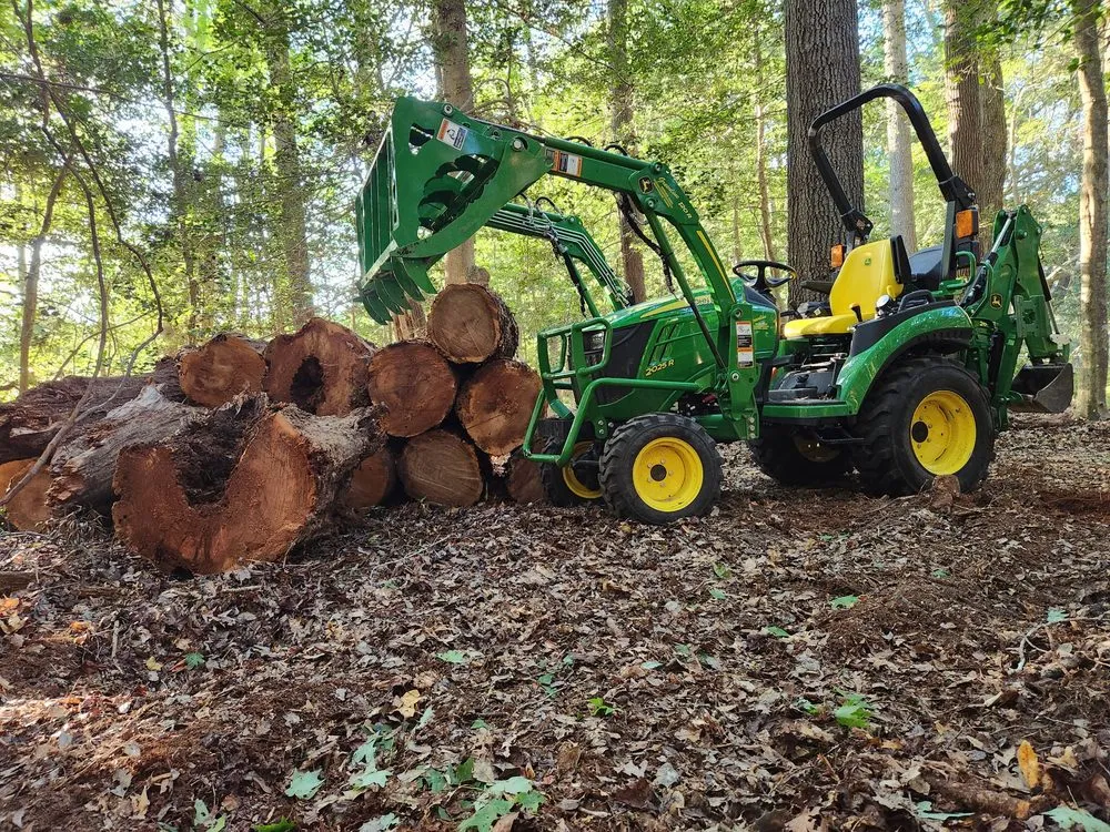 Expert yard cleanup service in Spotsylvania Courthouse, VA by Ember's Lawn and Yard Services