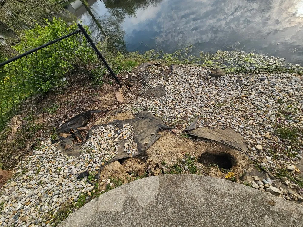 Expert lawn care service experts serving Greenwood, IN - Emberton Landscapes