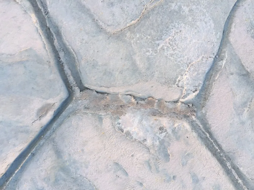 Expert garden landscaping for beautiful yards in Sacramento, CA by E.M.C. Concrete & Landscape