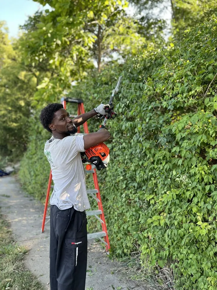 Local yard maintenance in Kansas City, KS by EMC Landscaping