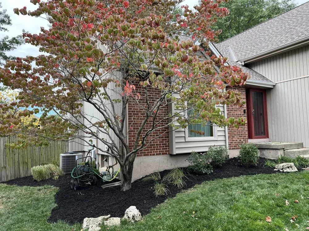 Professional lawn care service for beautiful yards across Kansas City, KS - EMC Landscaping