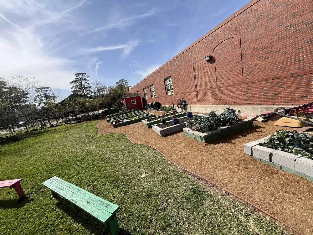 Professional yard maintenance in Houston, TX by EMC Lawn Care