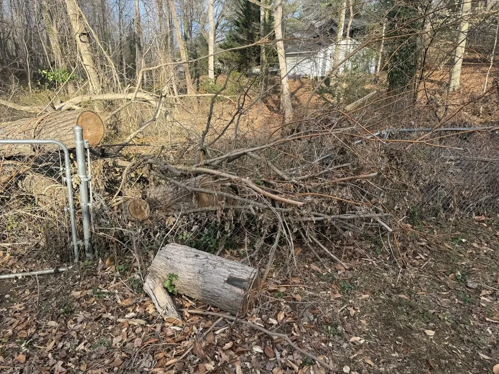 Affordable yard cleanup service near you in Asheville, NC by EMD Services