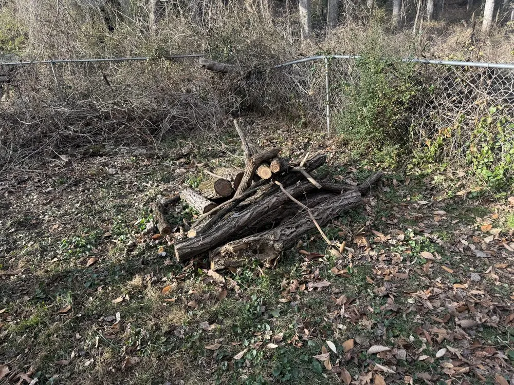 Affordable outdoor landscaping in Asheville, NC by EMD Services