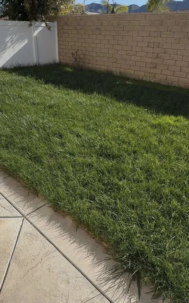 Professional garden landscaping in Moorpark, CA - EME Landscaping