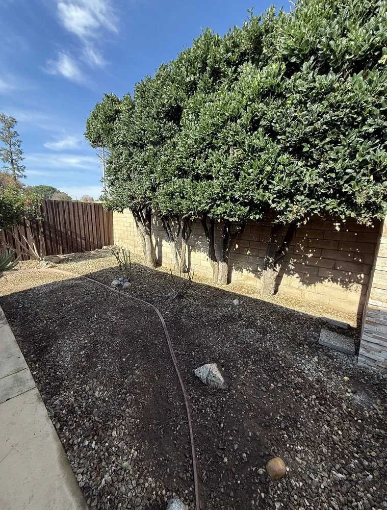 Reliable landscape design with custom design across Moorpark, CA - EME Landscaping