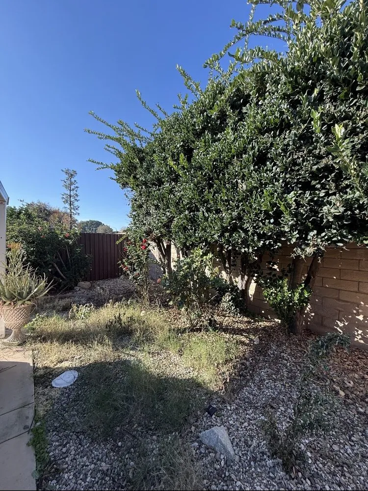 Professional yard maintenance in Moorpark, CA by EME Landscaping