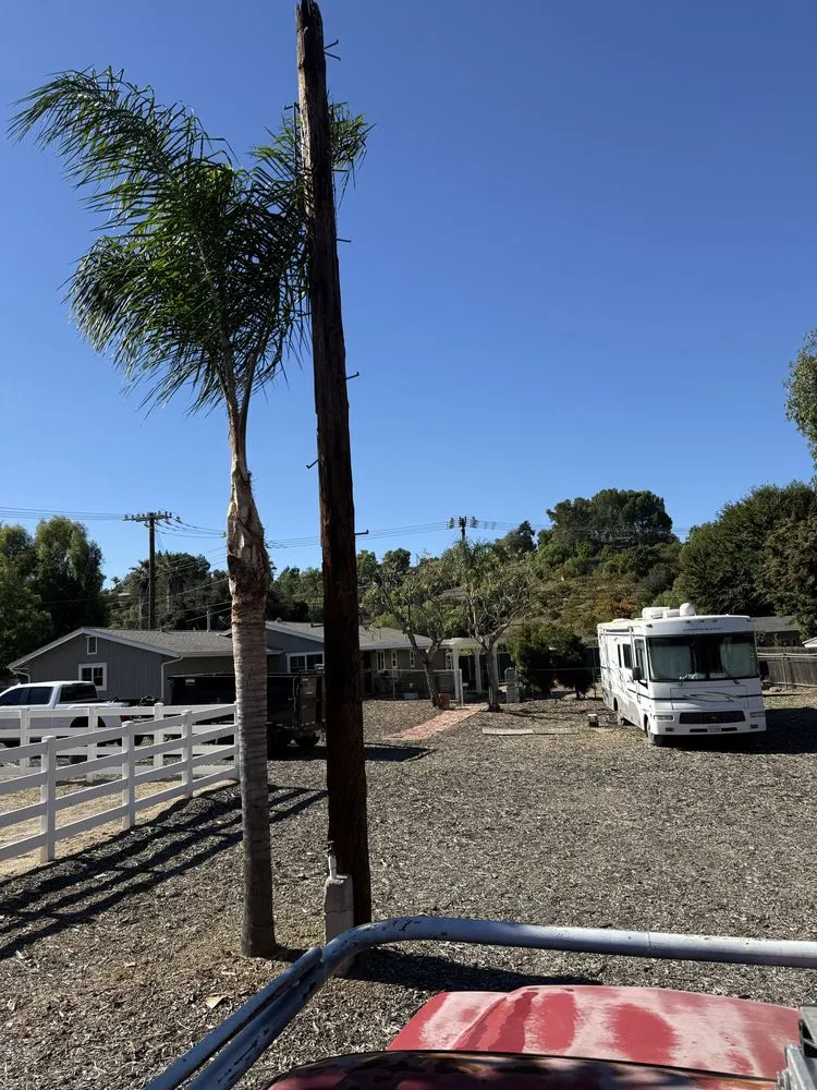 Reliable garden landscaping in Moorpark, CA by EME Landscaping