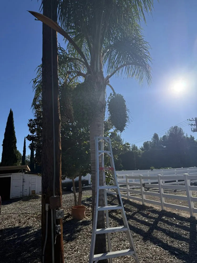 Custom landscape installation for homes in Moorpark, CA by EME Landscaping