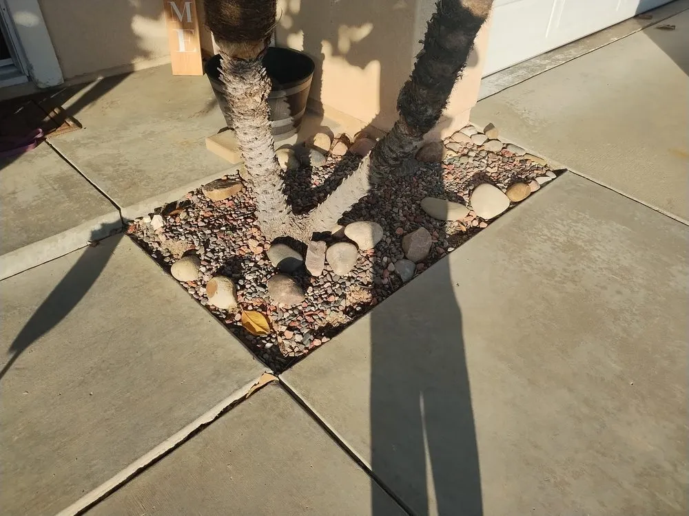 Custom yard maintenance in Moorpark, CA by EME Landscaping