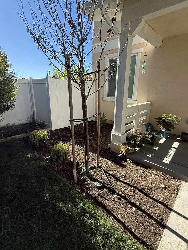 Local garden landscaping for residential properties in Moorpark, CA by EME Landscaping