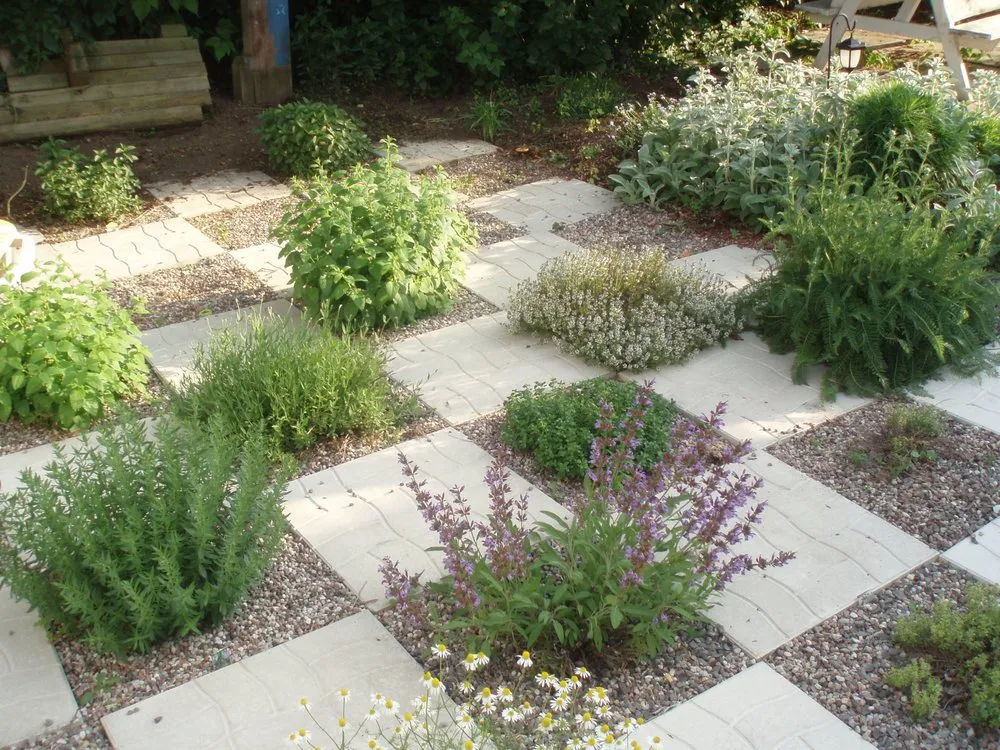 Affordable landscape installation for residential properties across Monroe, NC - Emerald American