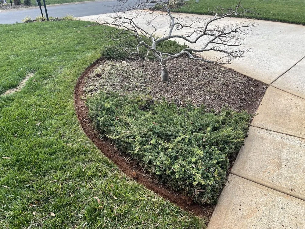 Professional residential landscaping experts serving Charlotte, NC - Emerald Arrow Lawn Care and Landscaping