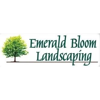 Reliable landscape installation in Mokena, IL - Emerald Bloom Landscaping