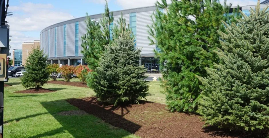 Custom residential landscaping in Mokena, IL - Emerald Bloom Landscaping