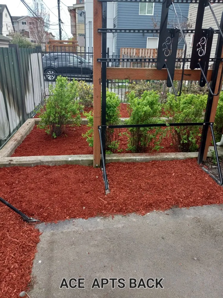 Reliable yard maintenance experts serving Seattle, WA - Emerald City Lawn Care