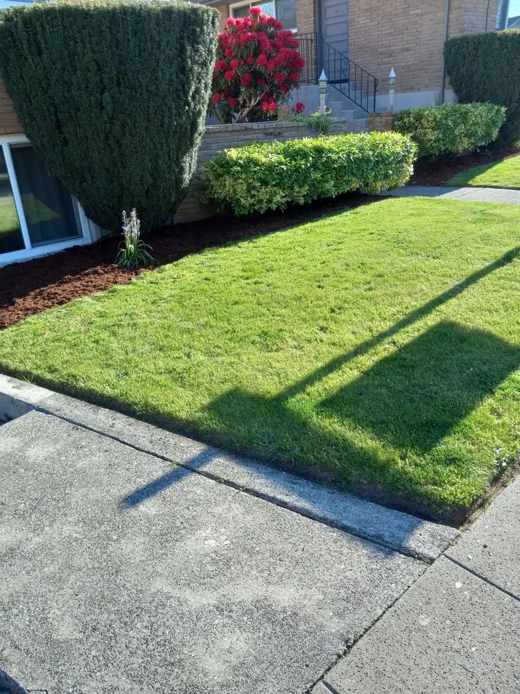 Expert lawn care service experts serving Seattle, WA - Emerald City Lawn Care