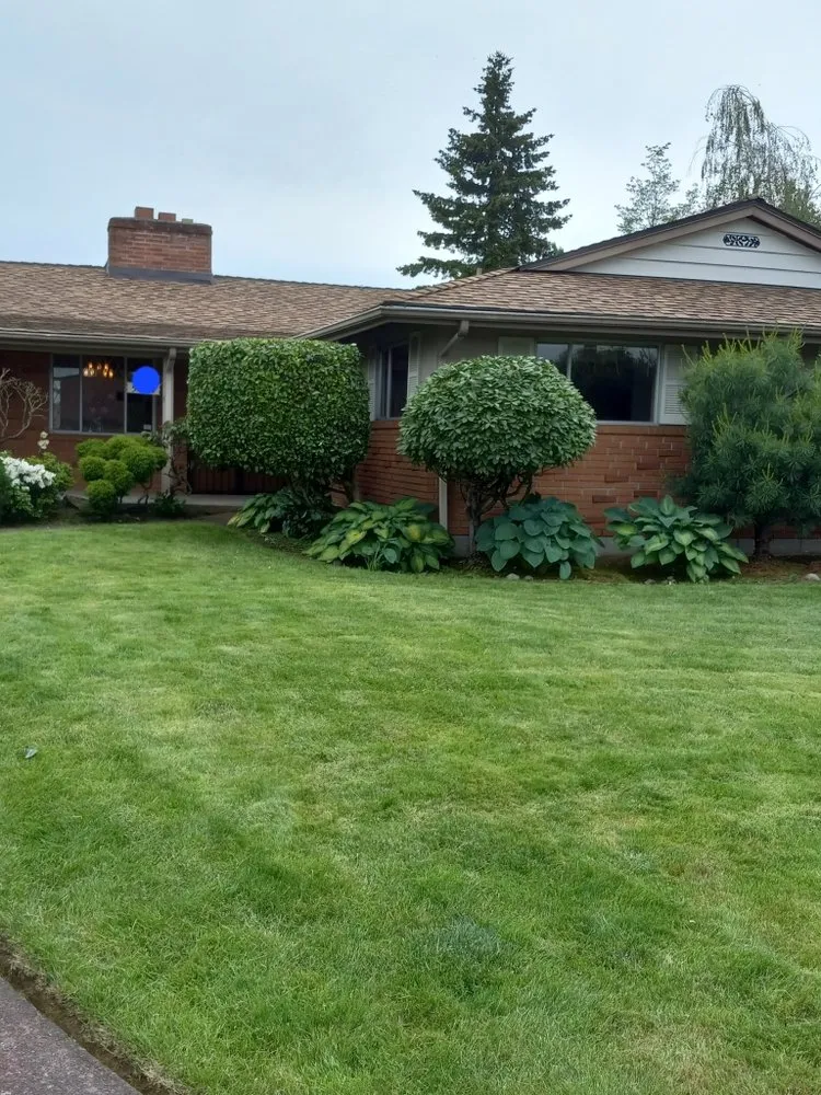Affordable residential landscaping experts serving Seattle, WA - Emerald City Lawn Care
