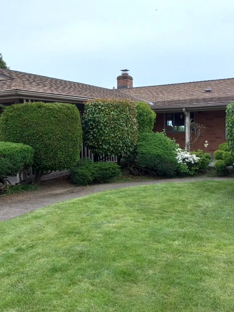 Professional landscaping services in Seattle, WA by Emerald City Lawn Care