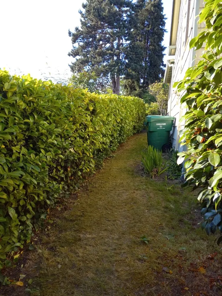 Local outdoor landscaping in Seattle, WA by Emerald City Lawn Care