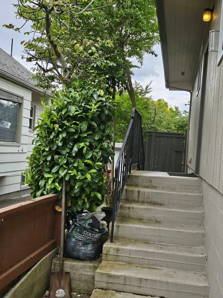 Professional garden landscaping in Seattle, WA - Emerald City Lawn Care