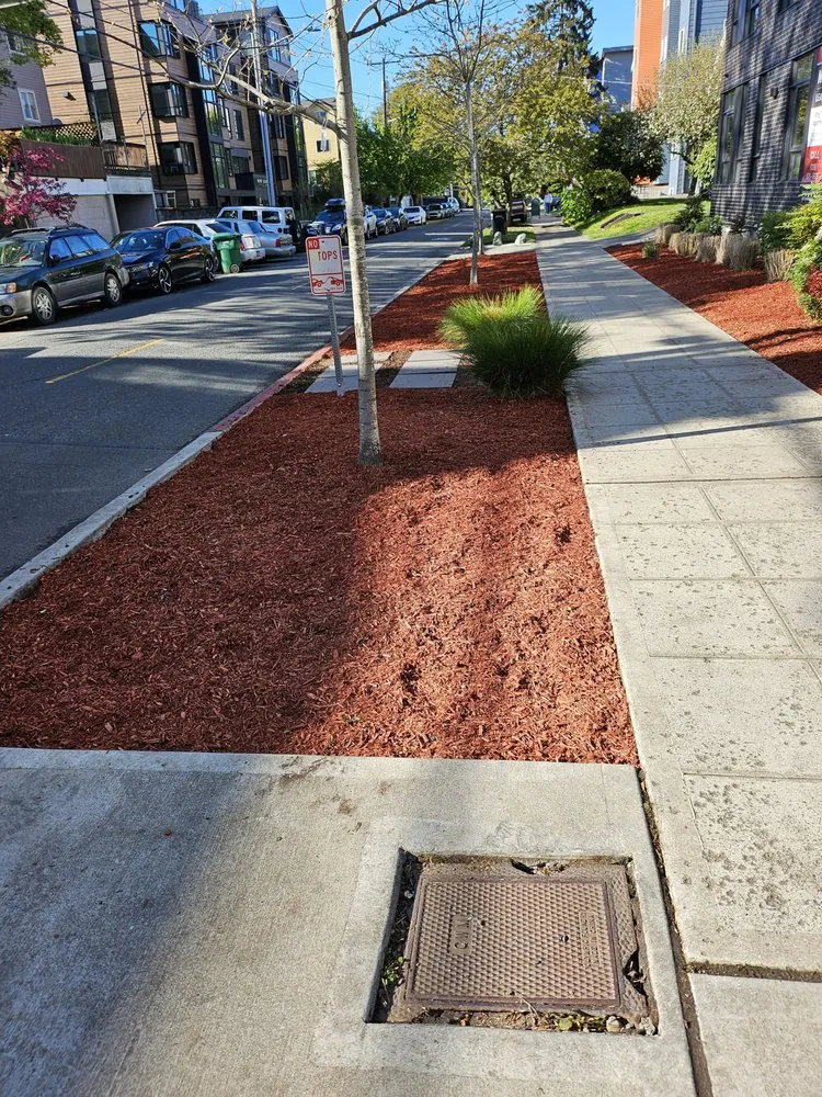 Expert landscape installation for residential properties in Seattle, WA by Emerald City Lawn Care