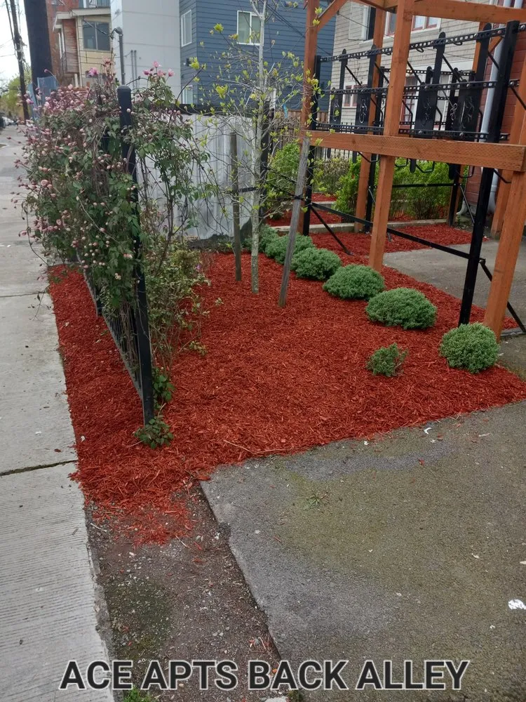 Professional residential landscaping for homes across Seattle, WA - Emerald City Lawn Care