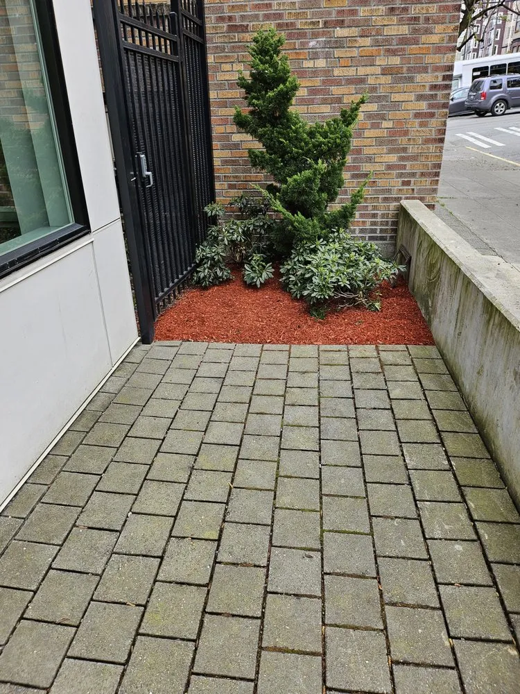 Custom garden landscaping in Seattle, WA by Emerald City Lawn Care