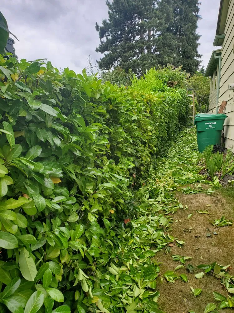 Affordable garden landscaping in Seattle, WA - Emerald City Lawn Care