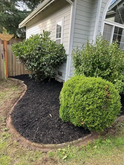 Top-rated outdoor landscaping in Puyallup, WA - Emerald City Lawn Service