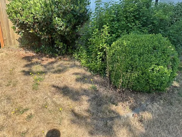 Professional landscape design for homes in Puyallup, WA by Emerald City Lawn Service