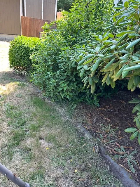Trusted garden landscaping with custom design across Puyallup, WA - Emerald City Lawn Service