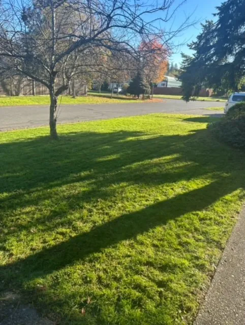 Custom lawn mowing service experts serving Puyallup, WA - Emerald City Lawn Service