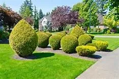 Professional lawn mowing service for beautiful yards in Shelton, WA by Emerald Cleaning Service & Lawn Care