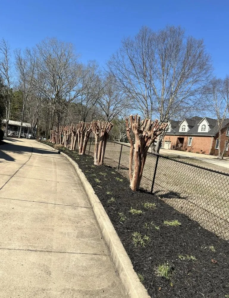 Expert lawn care service for beautiful yards across DeFuniak Springs, FL - Emerald Coast Lawn professionals