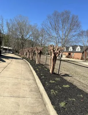 Emerald Coast Lawn professionals Logo