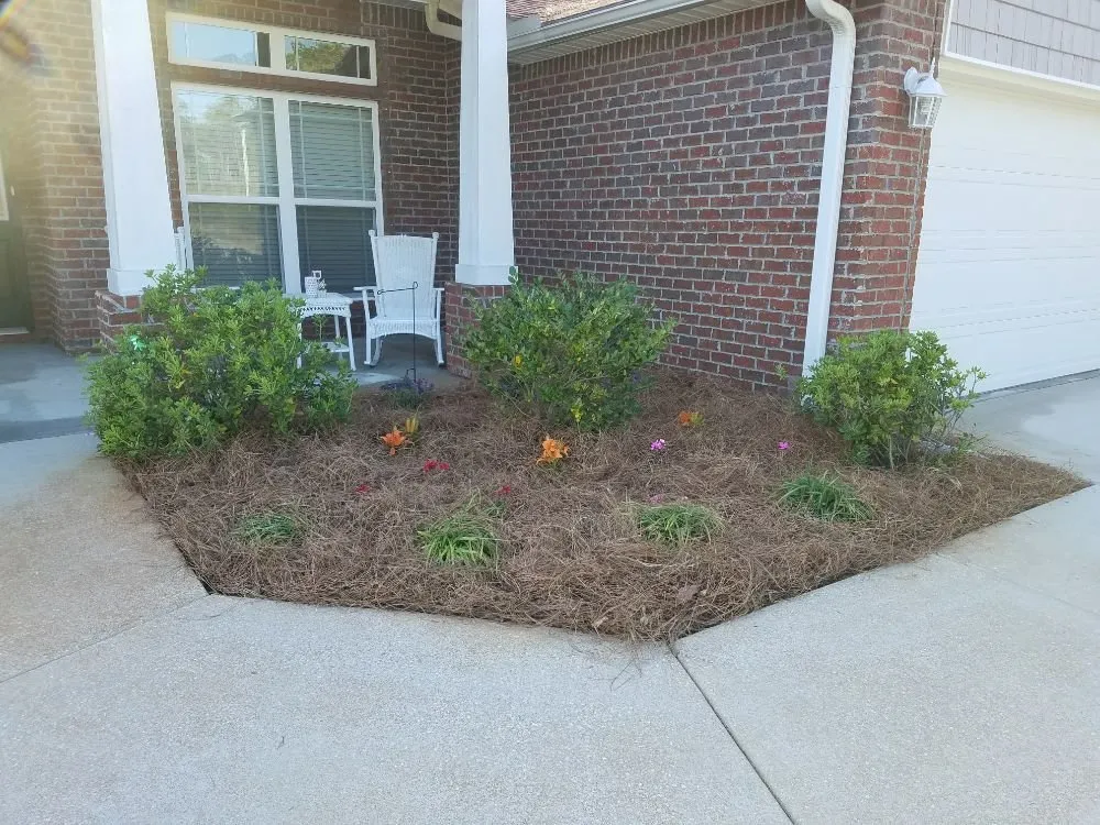 Custom yard cleanup service in Navarre, FL - Emerald Coast Lawn Pros